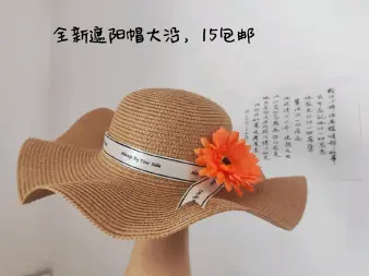 遮阳帽15包邮